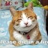 Blind M.